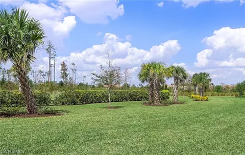 20332 Cypress Shadows Blvd, Estero, FL 33928 photo 24