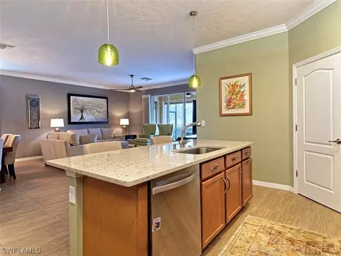 21550 Belvedere Ln, Estero, FL 33928 photo 4