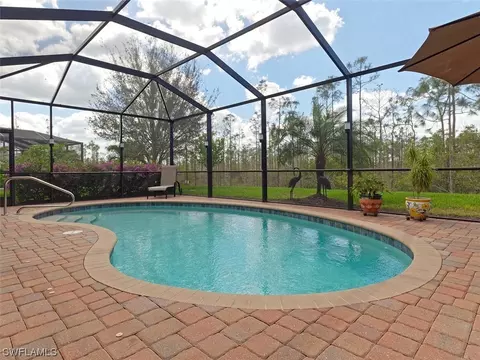 21550 Belvedere Ln, Estero, FL 33928 photo 19