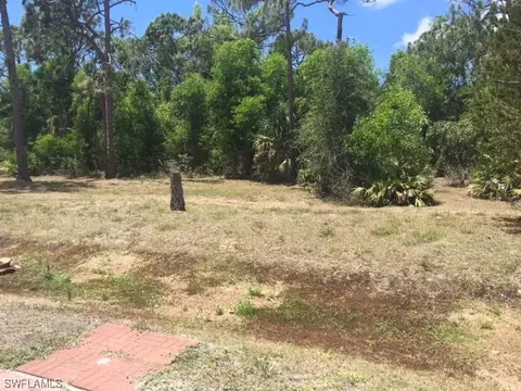20156 Orange Tree Ln, Estero, FL 33928 photo 11