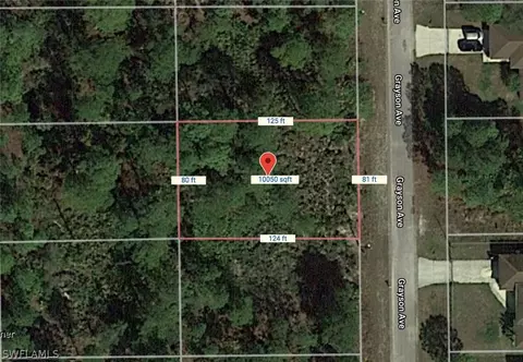 2011 Grayson Ave, Alva, FL 33920 photo 6