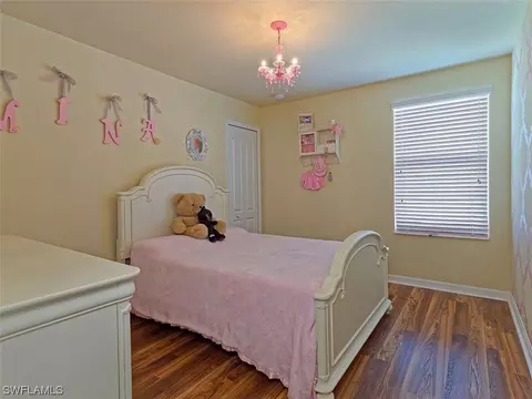 13073 Cardeto Ct, Estero, FL 33928 photo 20