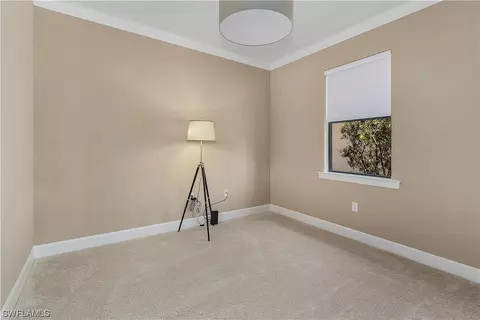 20361 Cypress Shadows Blvd, Estero, FL 33928 photo 19