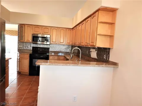 20731 Andiron Pl, Estero, FL 33928 photo 14