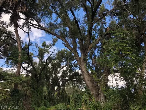 9870 Horne Ln, Estero, FL 33928 photo 7