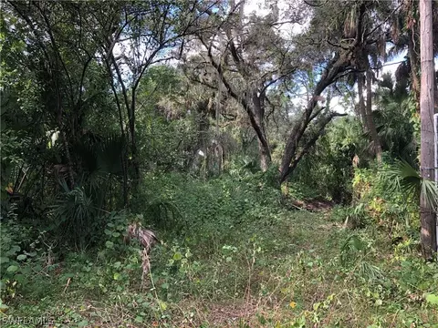 9870 Horne Ln, Estero, FL 33928 photo 6
