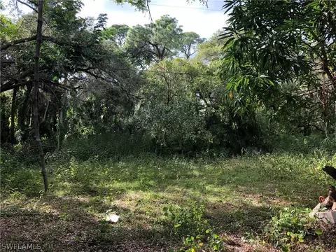 9870 Horne Ln, Estero, FL 33928 photo 3