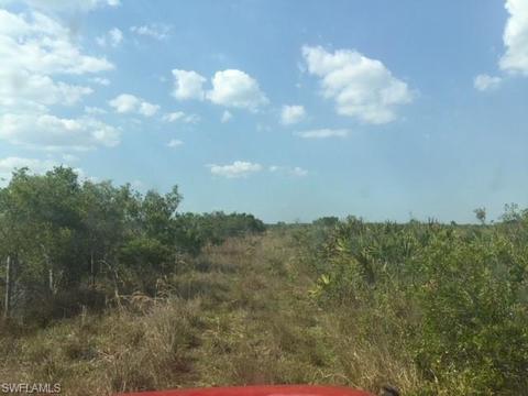 1257 Dixie Rd, Labelle, FL 33935 photo 4