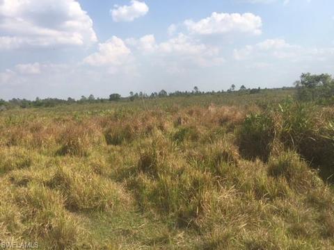1257 Dixie Rd, Labelle, FL 33935 photo 5