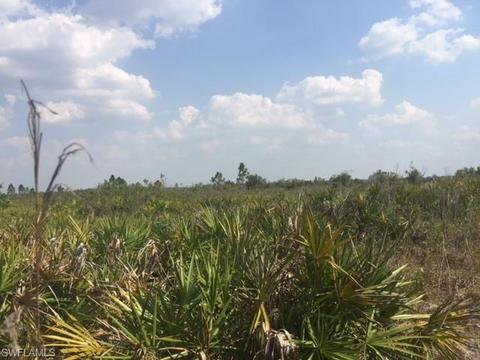1257 Dixie Rd, Labelle, FL 33935 photo 6