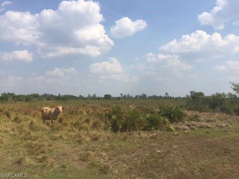 1257 Dixie Rd, Labelle, FL 33935 photo 2