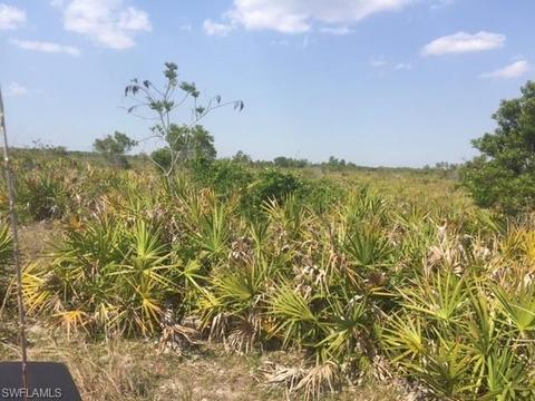 1257 Dixie Rd, Labelle, FL 33935 photo 7