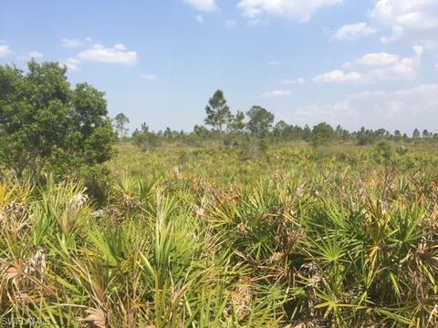 1257 Dixie Rd, Labelle, FL 33935 photo 8