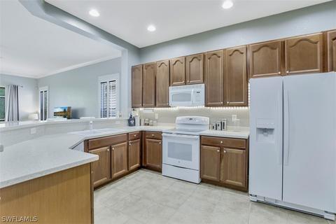 21072 Cosenza Ct, Estero, FL 33928 photo 8