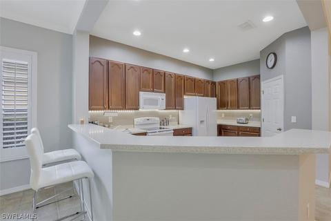 21072 Cosenza Ct, Estero, FL 33928 photo 9