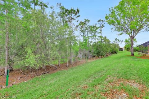21072 Cosenza Ct, Estero, FL 33928 photo 25
