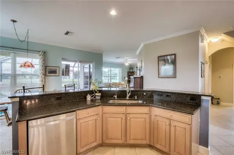 13754 Plati Ct, Estero, FL 33928 photo 10