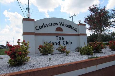 10843 Ani Cir, Estero, FL 33928 photo 22