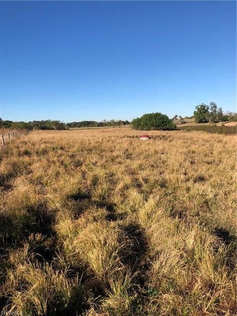 2380 E State Rd 80, Labelle, FL 33935 photo 7