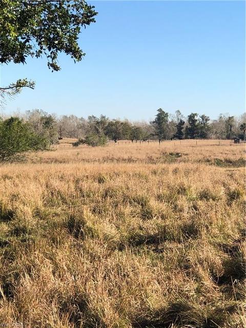 2380 E State Rd 80, Labelle, FL 33935 photo 6