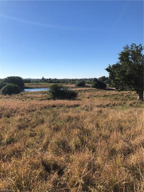 2380 E State Rd 80, Labelle, FL 33935 photo 8