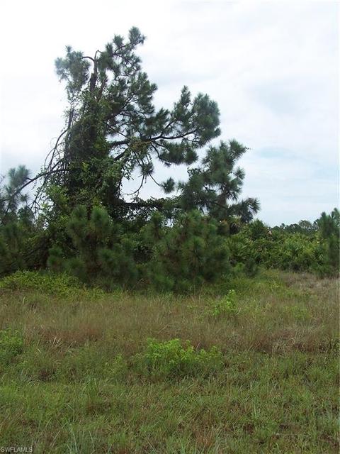 1111 Elegans St E, Lehigh Acres, FL 33974 photo 2