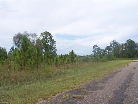 1111 Elegans St E, Lehigh Acres, FL 33974 photo 5