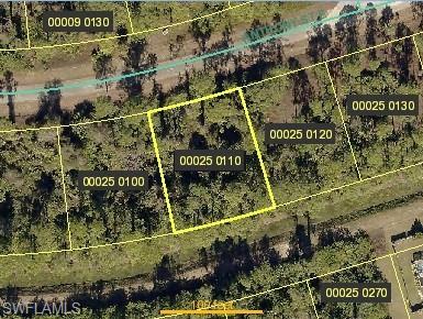 930 Anthony St E, Lehigh Acres, FL 33974 photo 1