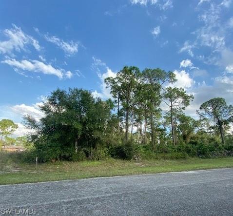 6535 Forest Cir, Labelle, FL 33935 photo 2
