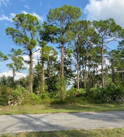 6535 Forest Cir, Labelle, FL 33935 photo 1