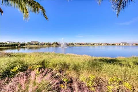 20010 Parrot Key Ct, Estero, FL 33928 photo 25