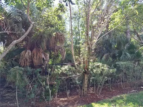 10041 Antori Dr, Estero, FL 33928 photo 23
