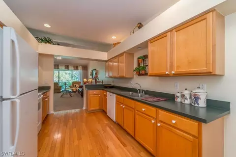 23041 Grassy Pine Dr, Estero, FL 33928 photo 3