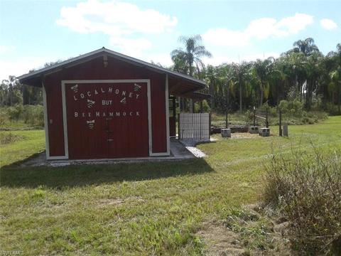 955 Case Rd, Labelle, FL 33935 photo 4