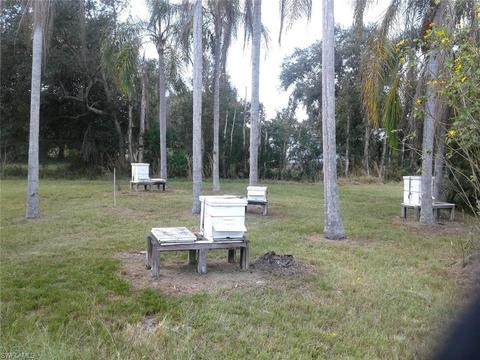 955 Case Rd, Labelle, FL 33935 photo 9