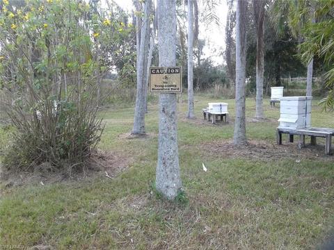 955 Case Rd, Labelle, FL 33935 photo 8