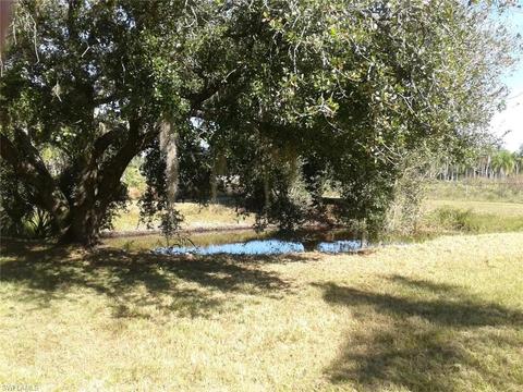 955 Case Rd, Labelle, FL 33935 photo 6