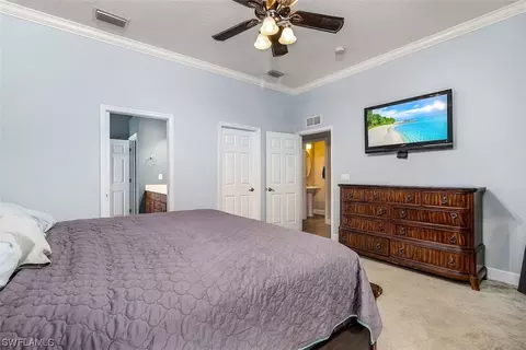 13501 Troia Dr, Estero, FL 33928 photo 16