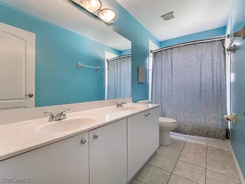 21193 Braxfield Loop, Estero, FL 33928 photo 31