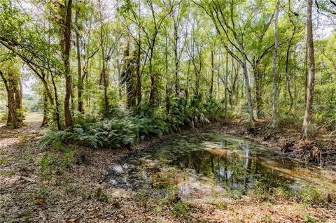 1905 Evans Rd, Labelle, FL 33935 photo 29