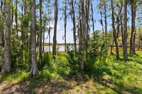 20911 Wildcat Run Dr, Estero, FL 33928 photo 32