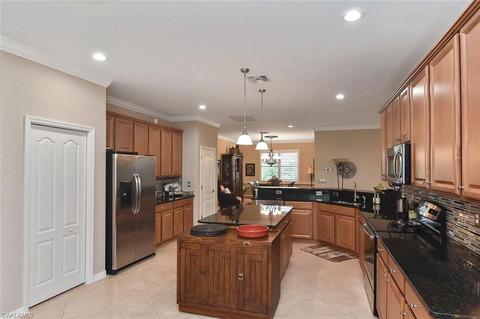 13545 White Crane Pl, Estero, FL 33928 photo 10