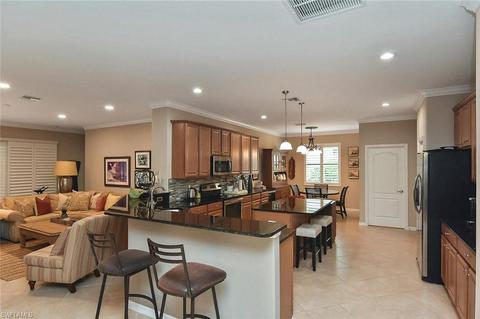 13545 White Crane Pl, Estero, FL 33928 photo 7