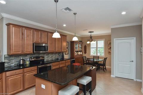 13545 White Crane Pl, Estero, FL 33928 photo 8
