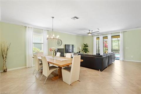 20284 Black Tree Ln, Estero, FL 33928 photo 13