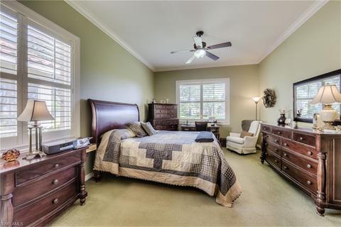 9553 Liseron Dr, Estero, FL 33928 photo 16