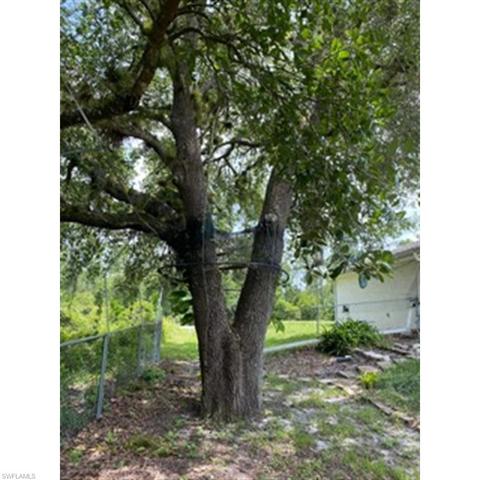 4235 E 24th St, Alva, FL 33920 photo 21