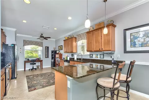 21217 Bella Terra Blvd, Estero, FL 33928 photo 10