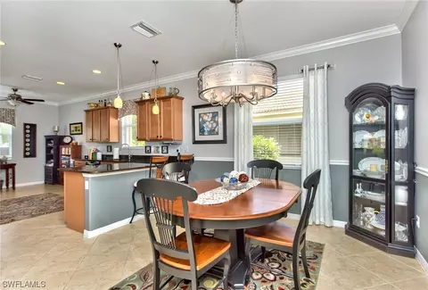 21217 Bella Terra Blvd, Estero, FL 33928 photo 9