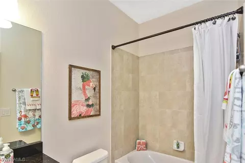 20382 Black Tree Ln, Estero, FL 33928 photo 21